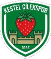 KESTEL ÇİLEK SK